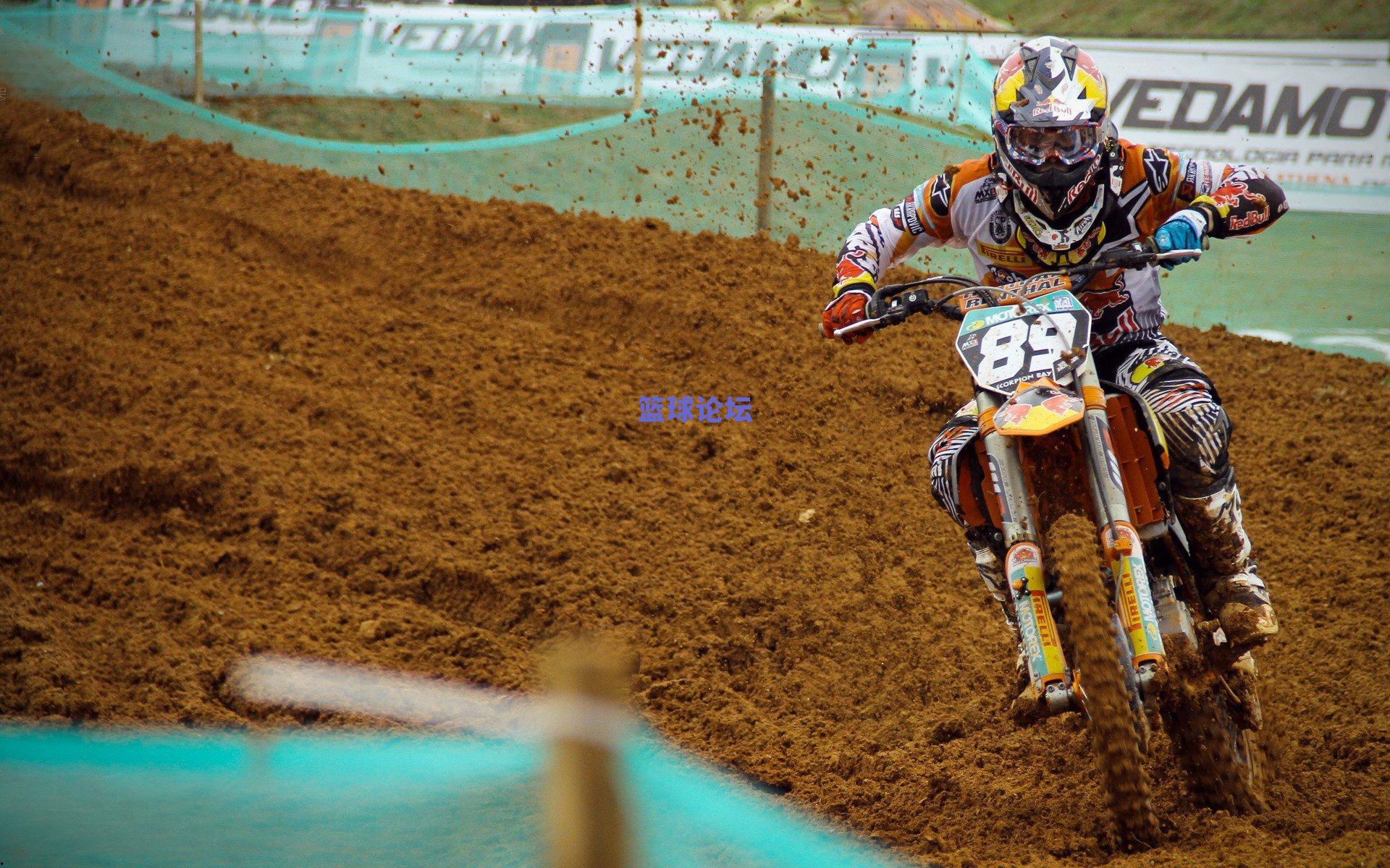 观察黄蜂新赛季五大关键因素，年轻核心成长与战术革新决定季后赛命运